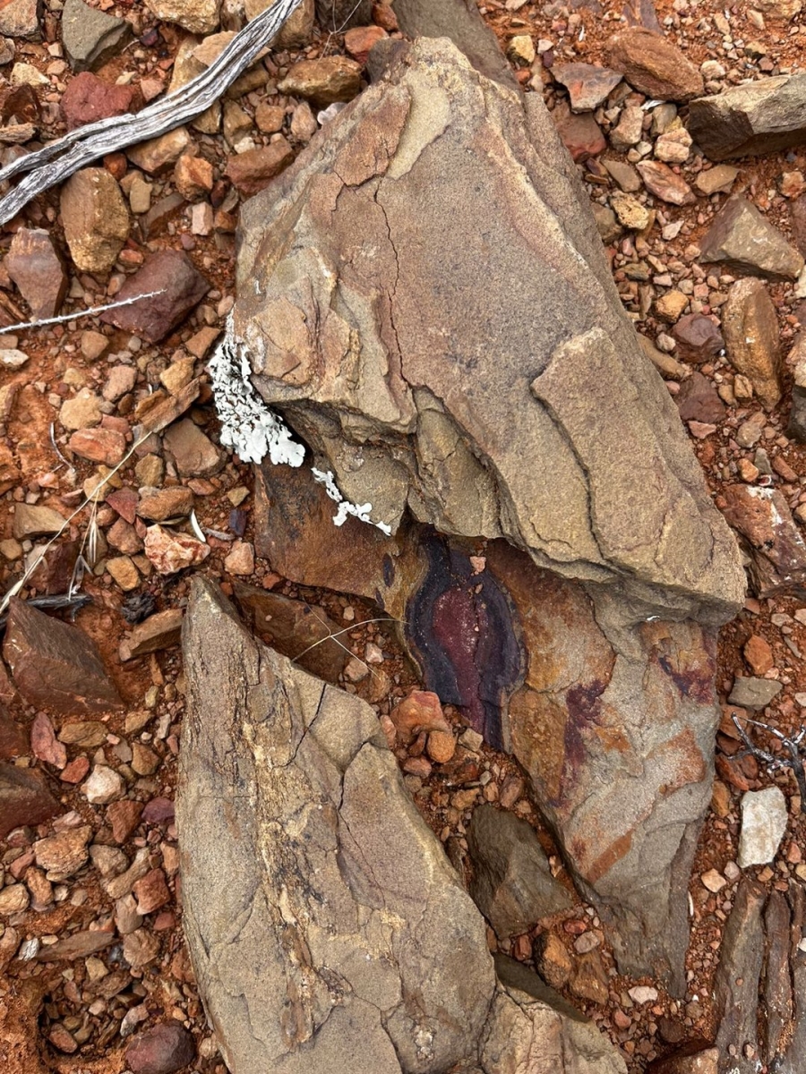 0 Bedroom Property for Sale in Willowmore Eastern Cape